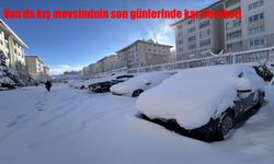 Van’da kar yağışı hayatı olumsuz etkiledi