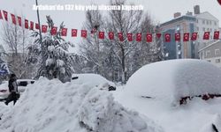 Ardahan’da kar hayatı olumsuz etkiledi: 132 köy yoluna ulaşım sağlanmıyor