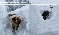 Yoğun kar besicileri vurdu: Hayvanları sulamak için saatlerce yol açtılar
