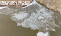 Iğdır’da Karasu Sazlığı’nda Buzlar Çözülüyor: Ağrı Dağı Milli Parkı’nda Doğa Yeniden Canlandı