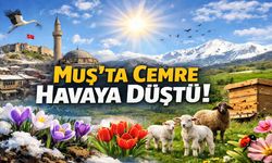 Baharın habercisi ilk cemre havaya düştü