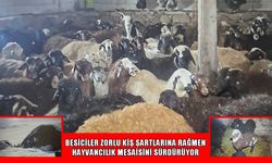 Bilican Dağı eteklerinde kar altında zorlu mesai