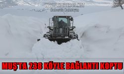 Muş’ta kar esareti: 238 köy yolu ulaşıma kapandı