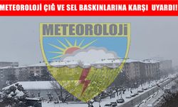 Meteoroloji saat verdi: Muş’ta kuvvetli kar ve yağmur etkili olacak