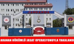 Muş’ta 13 yıl 9 ay hapis cezasıyla aranan hükümlü yakalandı