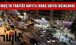Muş'ta trafiğe kayıtlı araç sayısı 42 bini geçti