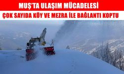 Muş’ta 67 köy yolu kapandı, 79 yerleşim birimi karanlığa gömüldü