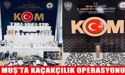 Muş’ta kaçakçılık ve tarihi eser operasyonu