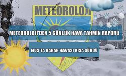 Muş'ta güneşli hava yerini yeniden kar yağışına bırakıyor