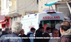 Elazığ'da kayınpeder dehşeti: Tartıştığı damadını bıçakla ağır yaraladı