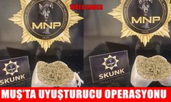 Muş'ta yolcu otobüsüne narkotik operasyonu: 2 kilo skunk ele geçirildi