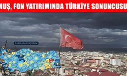 Muş, Fon yatırımında Türkiye sonuncusu: Nüfusa oranla katılım sadece %1,76