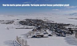 Van'da karla gelen güzellik: Yerleşim yerleri beyaz gelinliğini giydi