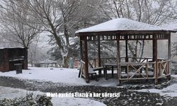 Mart ayında Elazığ'a kar sürprizi