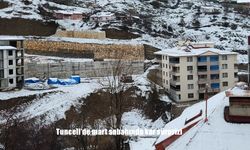 Tunceli'de mart sabahında kar sürprizi