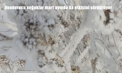 Dondurucu soğuklar mart ayında da etkisini sürdürüyor