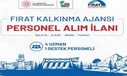 Fırat Kalkınma Ajansı personel alımı başvuruları başladı