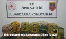 Iğdır’da kaçak keklik avcılarına 175 bin TL ceza