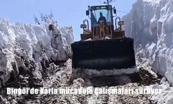 Bingöl'de karla mücadele çalışmaları sürüyor