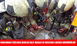Ankara'da yangından etkilenen kediler kalp masajı ve oksijenle hayata döndürüldü