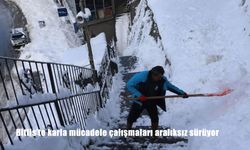 Bitlis'te karla mücadele çalışmaları aralıksız sürüyor