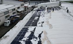 Bitlis OSB’de Çatı ve Güneş Panelleri İçin Vinçli Kar Temizleme Yöntemi