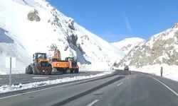 Van-Hakkari Yolu Çığ Sonrası Yeniden Ulaşıma Açıldı
