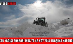 Muş’ta 46 köy yolu ulaşıma kapandı