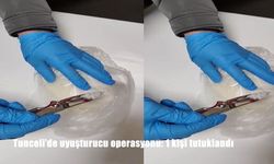 Tunceli'de uyuşturucu operasyonu: 1 kişi tutuklandı