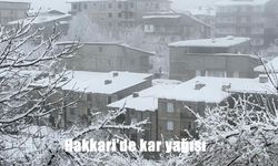 Hakkari’de kar yağışı