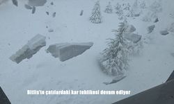 Bitlis’te çatılardaki kar tehlikesi devam ediyor