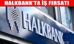 Halkbank 380 servis görevlisi alacak: Başvurular başladı