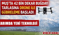 Muş’ta 42 bin dekarlık buğday tarlası drone ile gübreleniyor