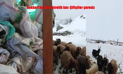 Hakkari’de Kar 1,5 Metreyi Buldu
