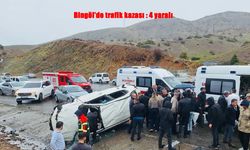 Bingöl’de Araç Takla Attı: 4 Yaralı