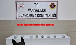 Van’da uyuşturucu madde ele geçirildi