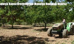 Malatya Kayısı Üreticilerine Manolya Hastalığı Uyarısı