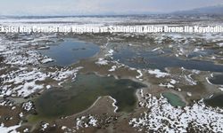 Ekşisu Kuş Cenneti’nde Kuşların ve Şahinlerin Anları Drone ile Kaydedildi