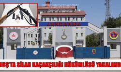 Muş'ta silah kaçakçılığından aranan şahıs yakalandı