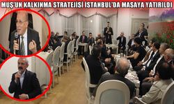 Muş’un kalkınma stratejisi İstanbul’da masaya yatırıldı