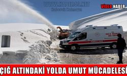 Hasköy-Mutki yoluna çığ düştü: Ekipler zamanla yarıştı