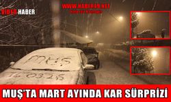 Muş’ta mart sürprizi: Kent merkezi beyaza büründü