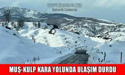 Kar ve tipi ulaşımı kilitledi: Muş-Kulp yolu kapandı