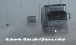 Güzeldere Geçidi'nde tipi trafiği olumsuz etkiliyor