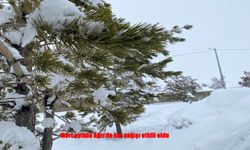 Ağrı Mart’ta Beyaza Büründü