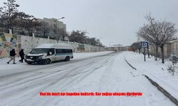 Van’da Beyaz Örtü Ulaşımı Durdurdu!