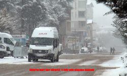 Ahlat’ta Kar Hayatı Olumsuz Etkiledi: 11 Köy Yolu Kapandı