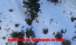 Uzundere’de Buz Tırmanışı Ayı Sürpriziyle Bölündü