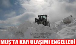 Muş’ta kar yağışı 50 köy yolunu kapattı