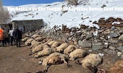 Van Başkale’de Ahır Yangını: 67 Küçükbaş Hayvan Telef Oldu